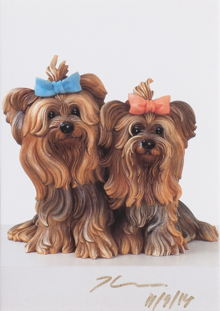 Yorkshire Terrier - Bild 2