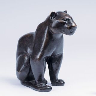 A Sitting Jaguar