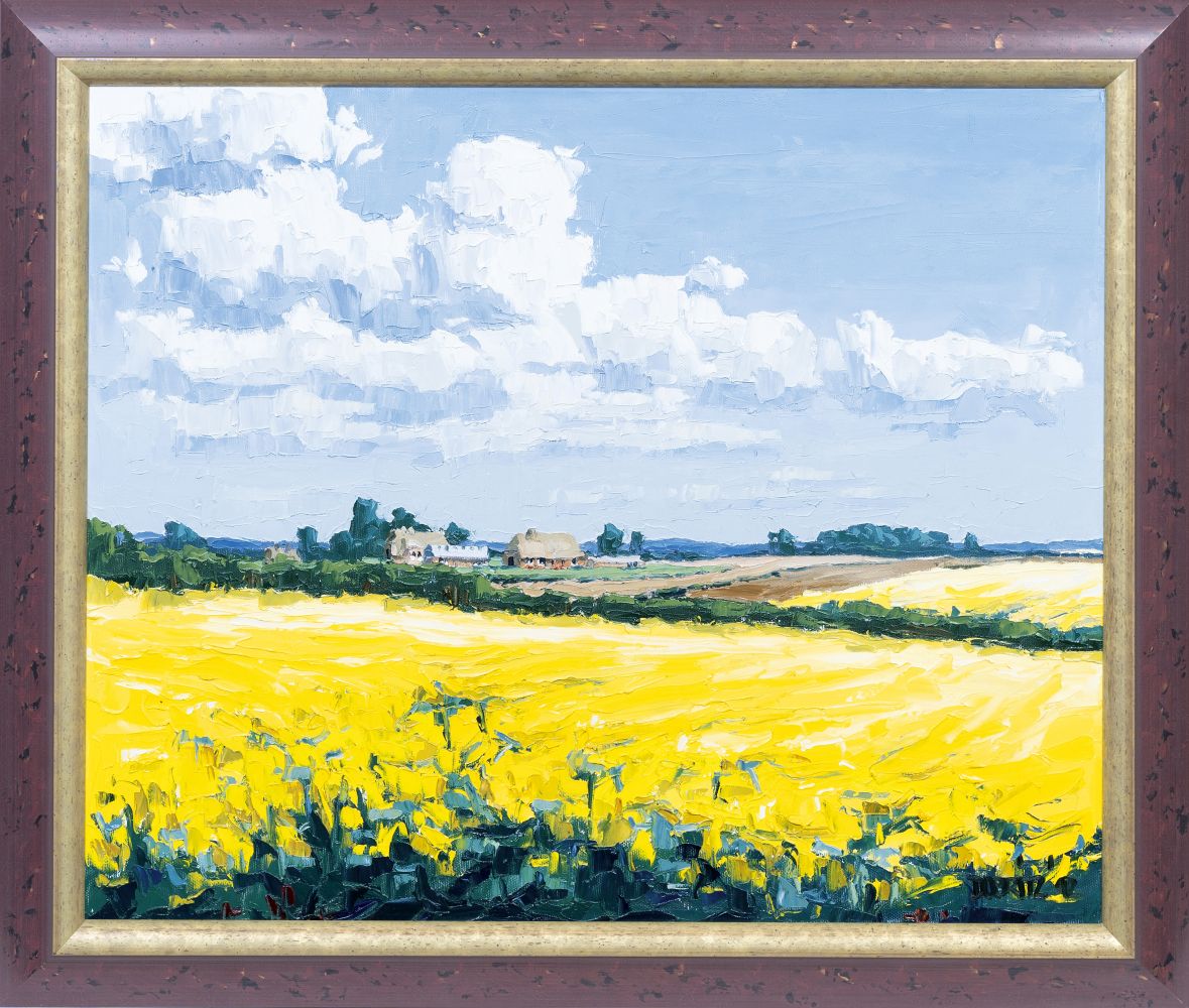 Blooming Rapeseed - image 2