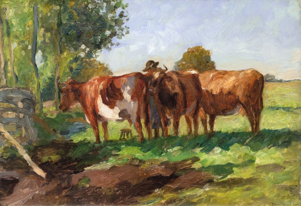 Three Cows