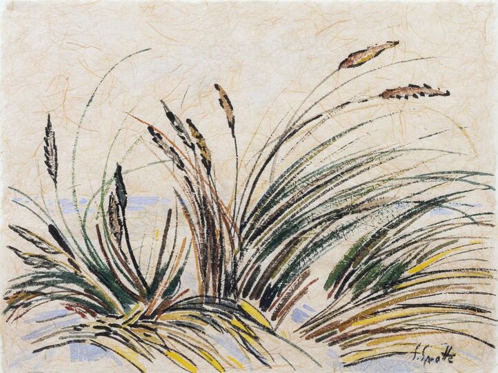 Gras on the Beach