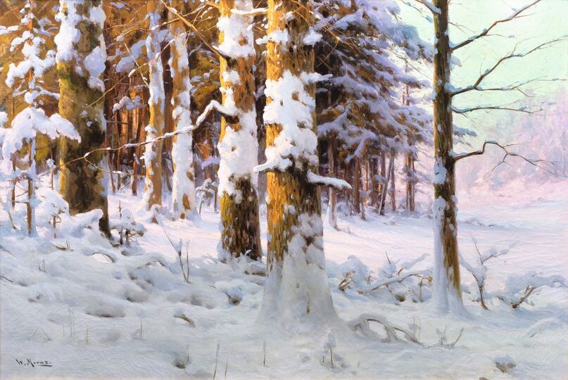 Winterwald im Sonnenlicht