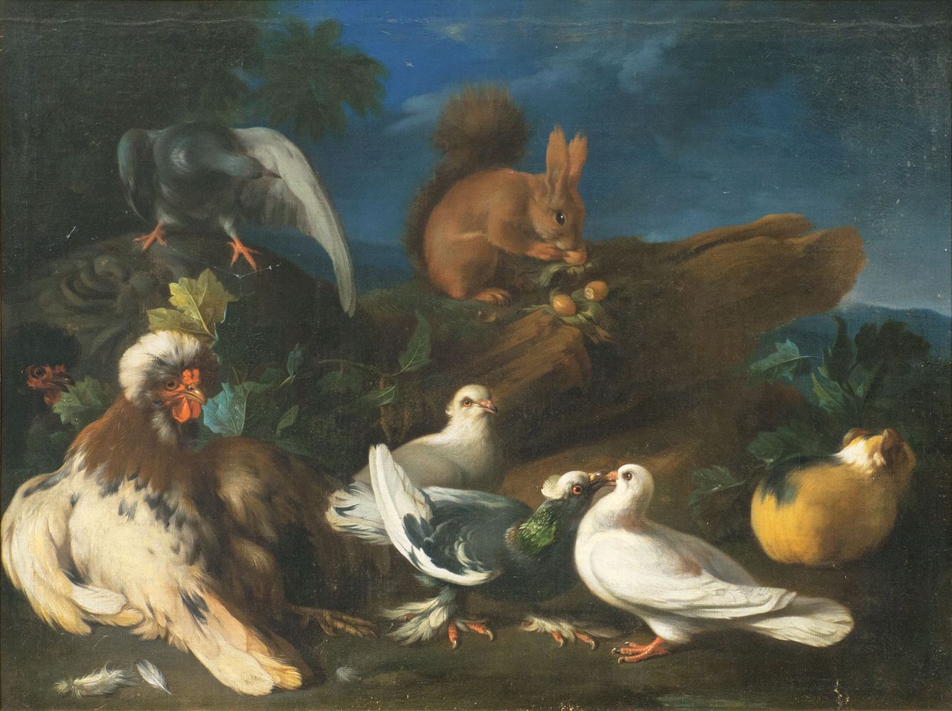 Squirrel, Guinea Pig and Poultry