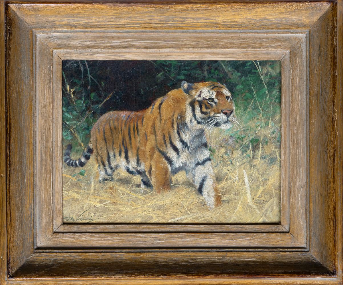 Tiger - image 2