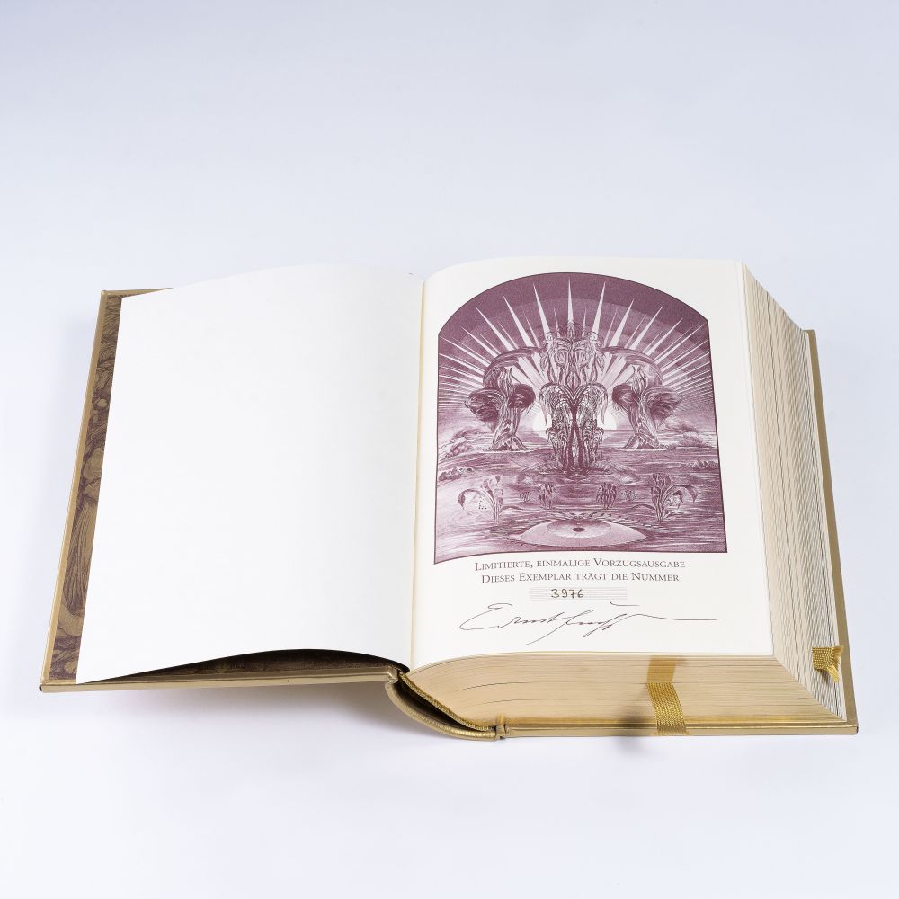 Die Bibel bebildert von Ernst Fuchs - Bild 3