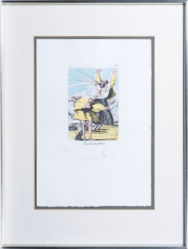 Pirueta de Plátano - Bild 2