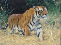 Tiger - image 1