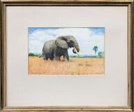 Elefant - Bild 2