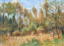 Moorlandschaft - Bild 1