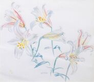 Lilies - image 1