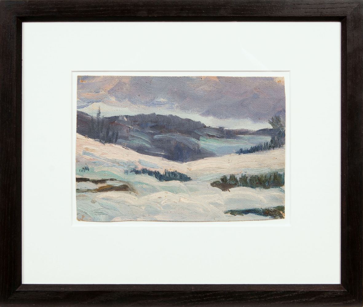 Winterlandscape - image 2