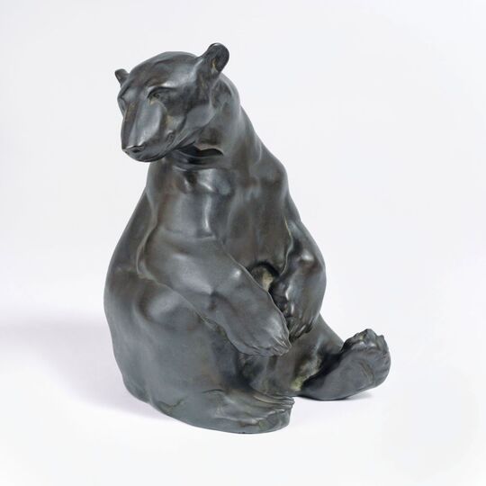 A Seated Bear