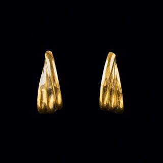A Pair of small Earrings