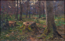 In the Woods - image 1