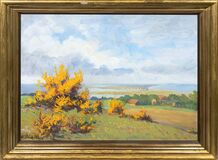 View over Hiddensee - image 2