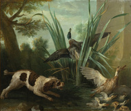 Dog and Mallards - image 1