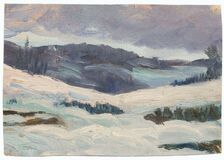 Winterlandschaft - Bild 1