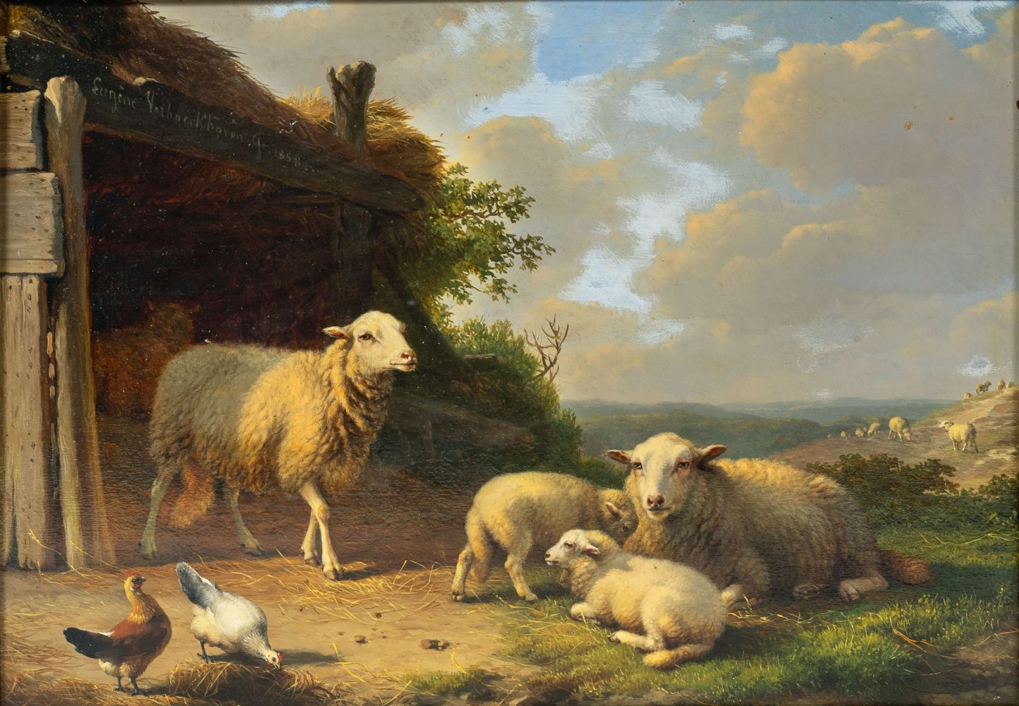 Schafe vor dem Stall