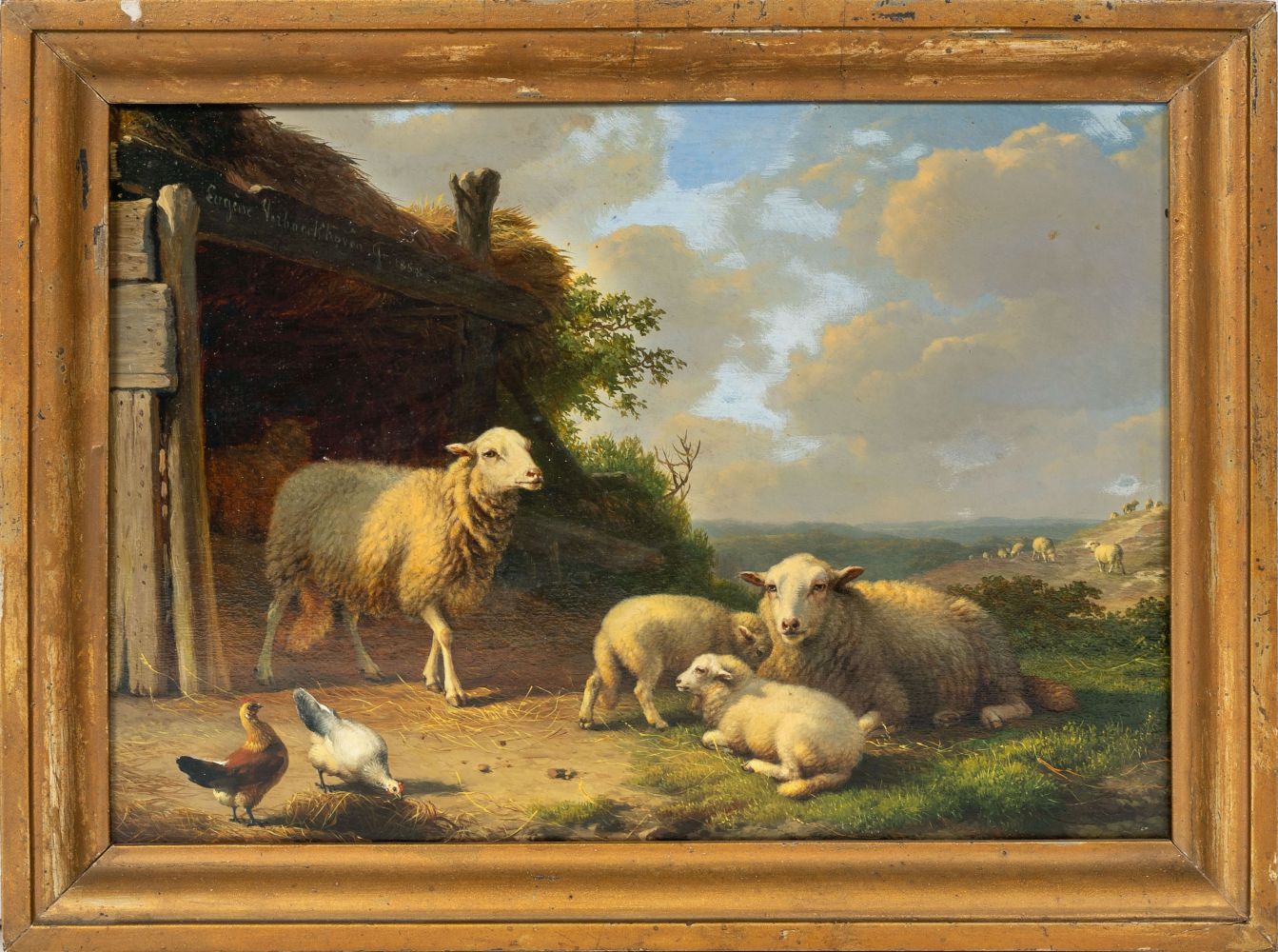 Schafe vor dem Stall - Bild 2