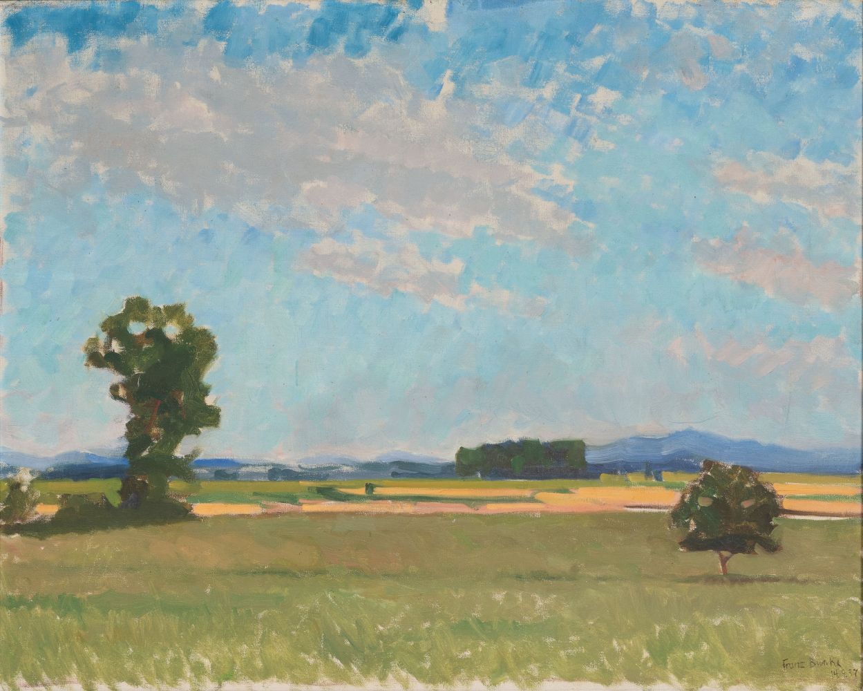 Summer Landscape