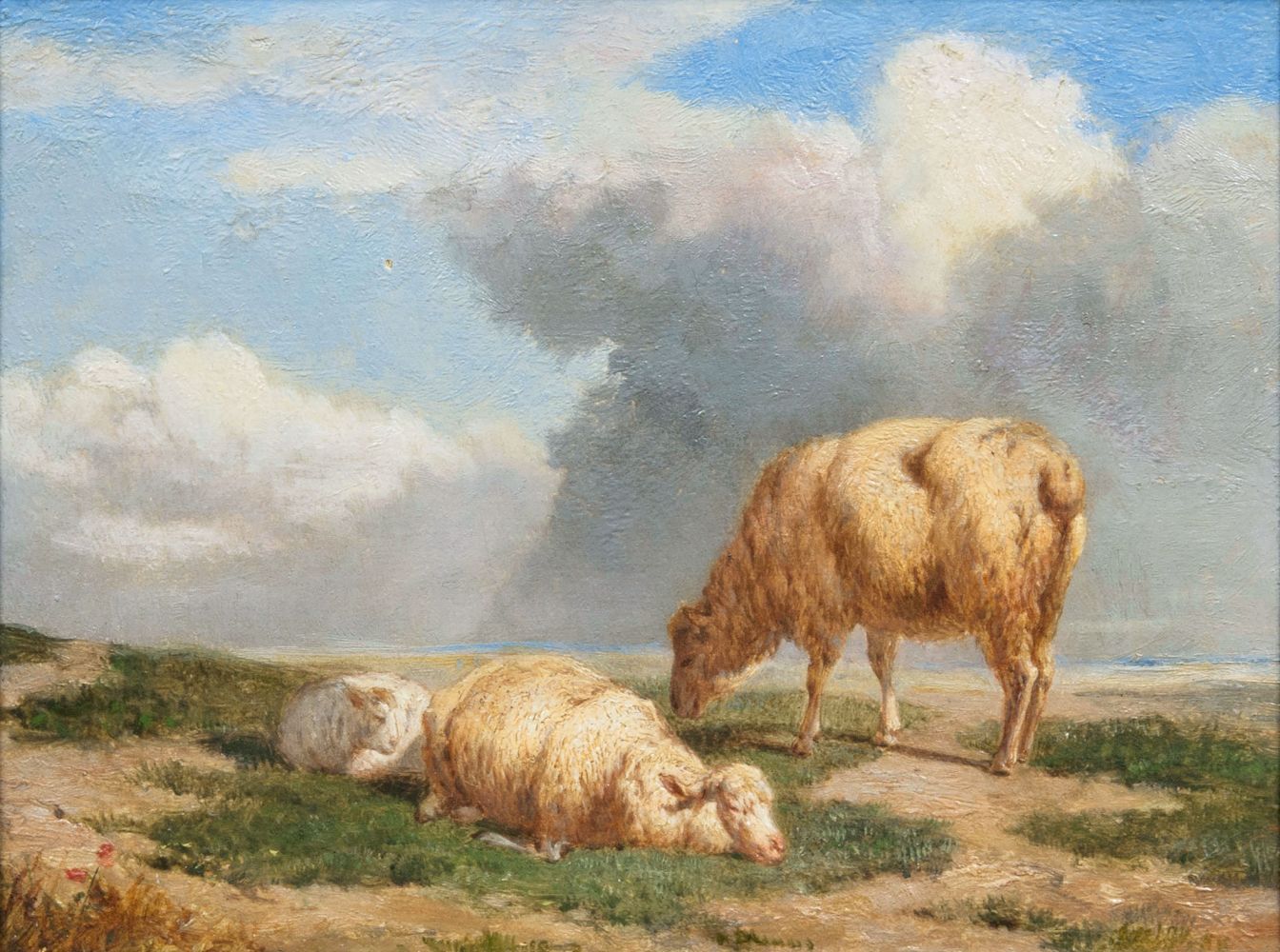 Three Sheep