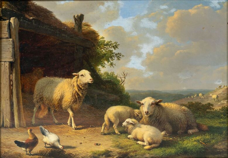 Sheep in front of a Stable