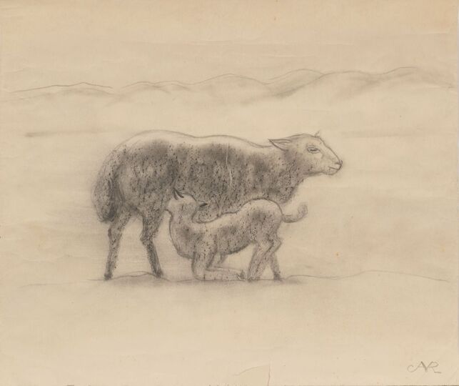 Sheep and Lamb