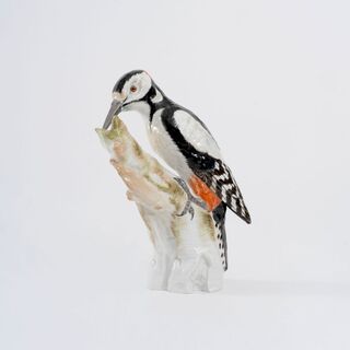 A Great Spotted Woodpecker