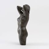A Female Half Nude - image 2