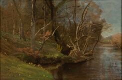 Forest with Creek - image 1