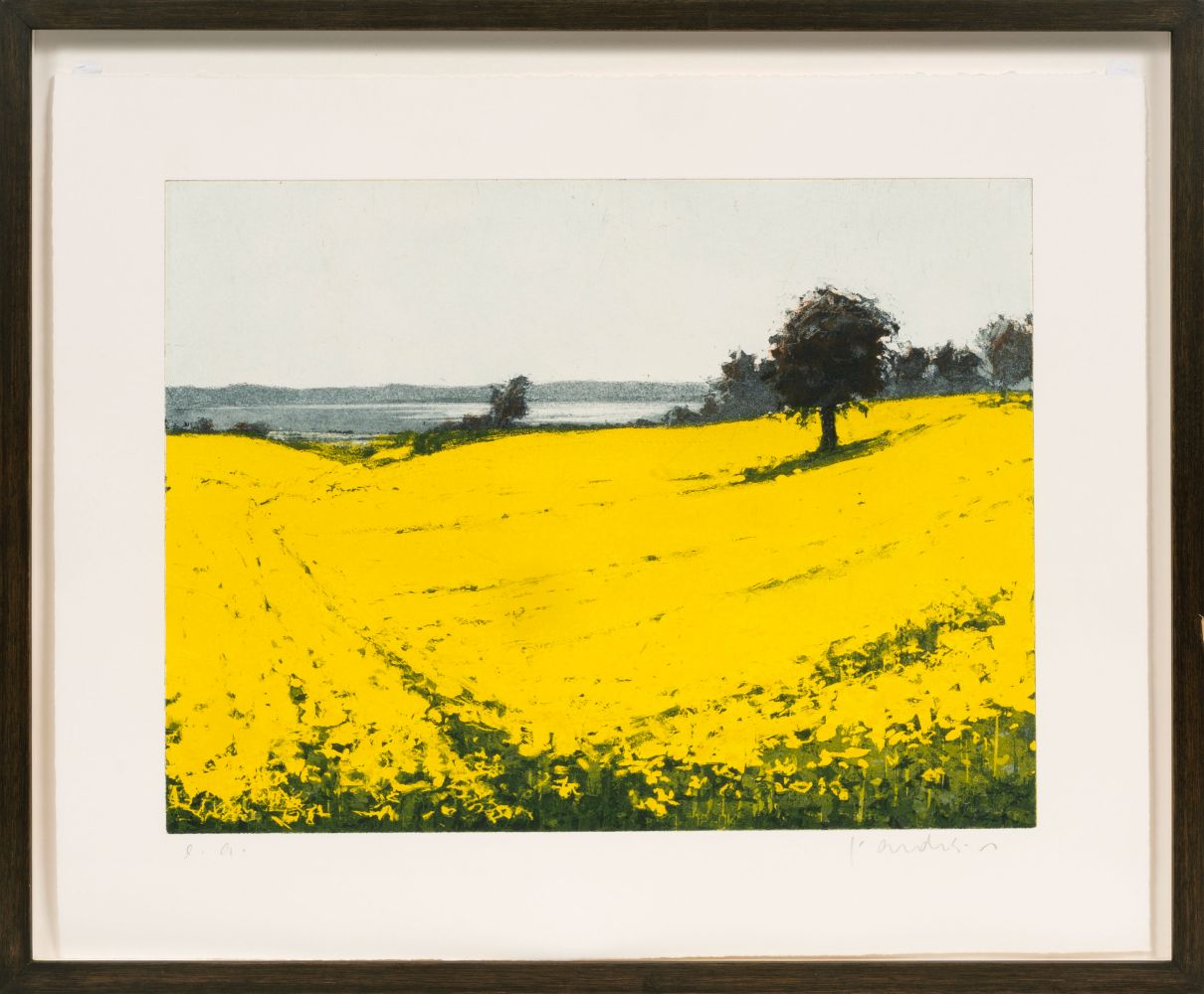 Rapeseed - image 2