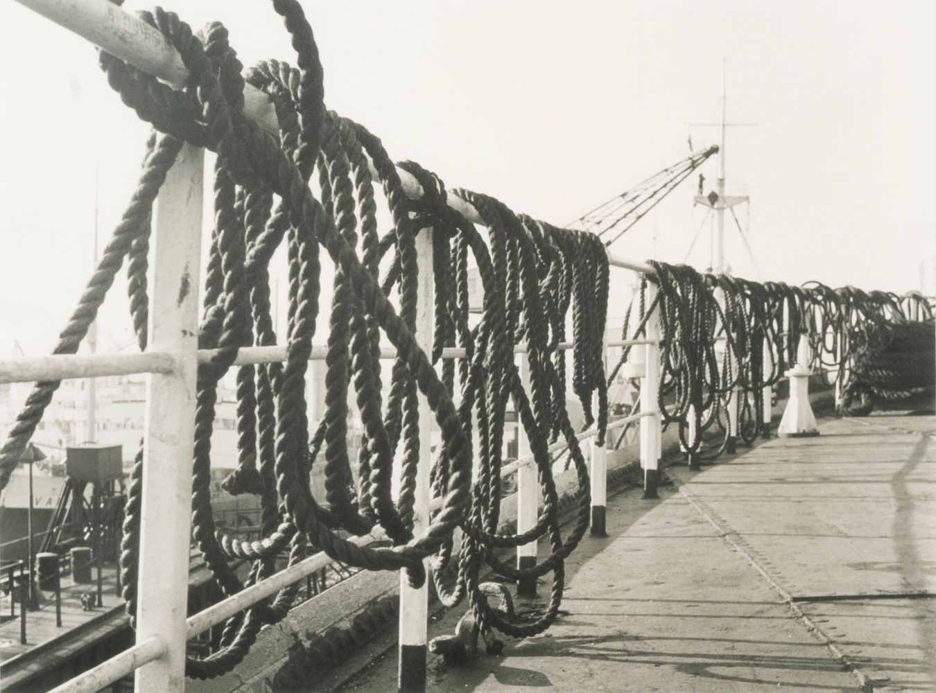 Set of Seven Photos - image 5