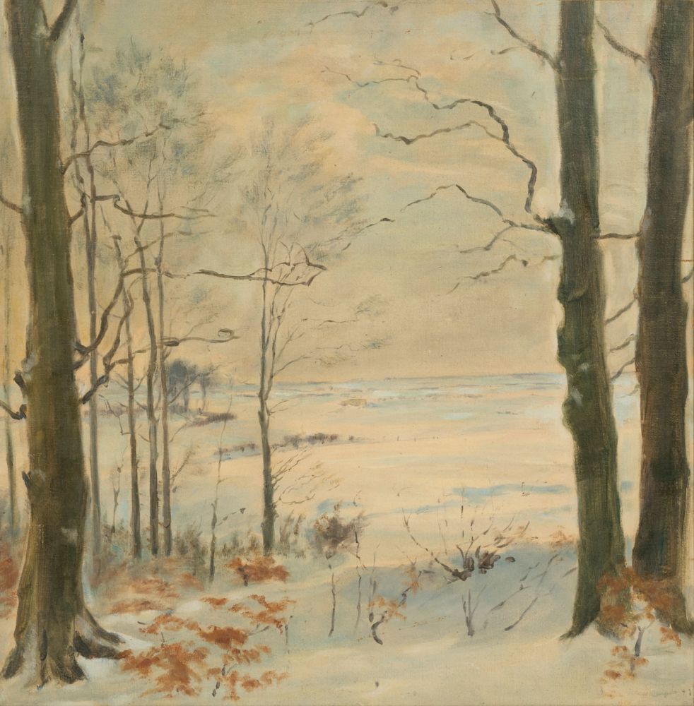 Winter Landscape