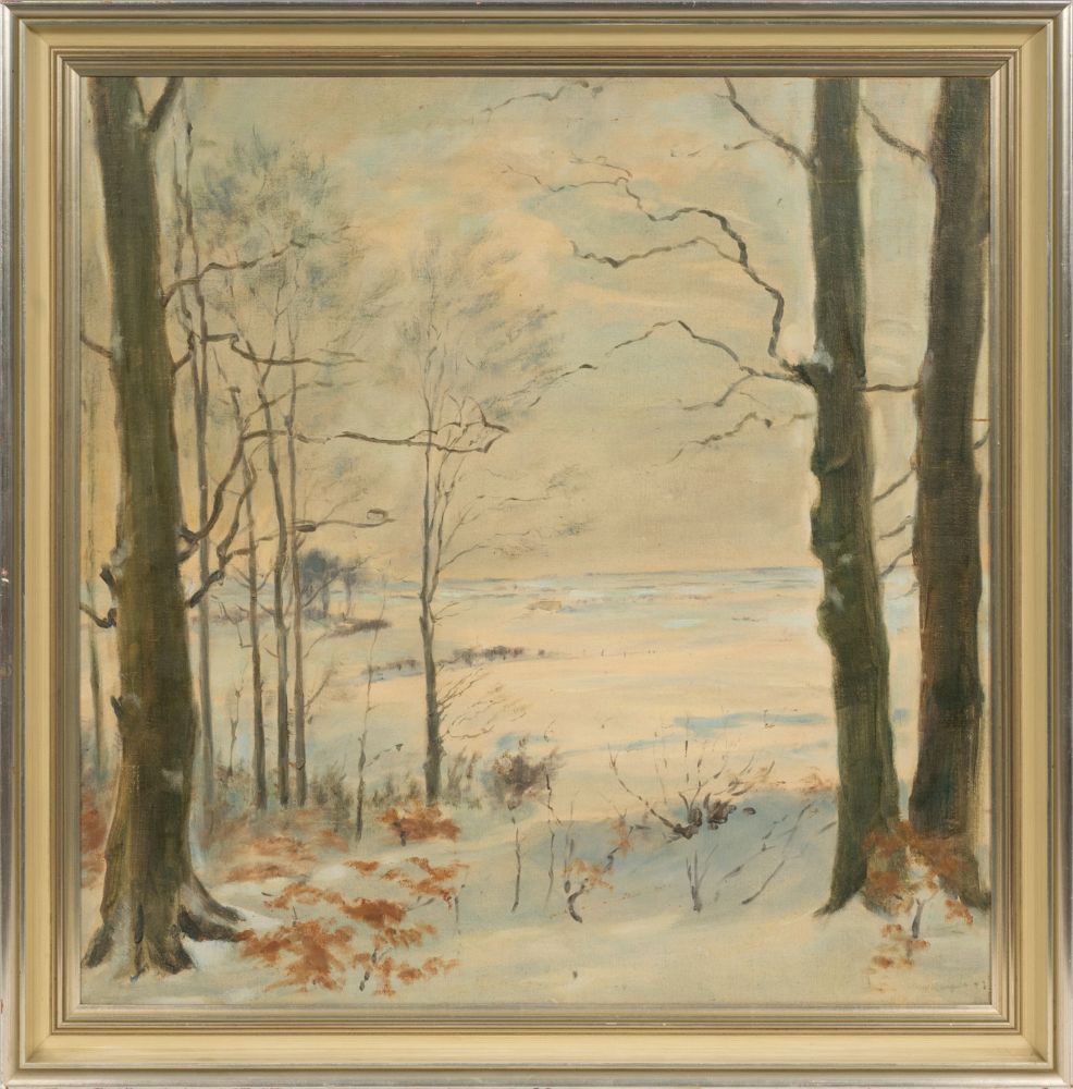 Winterlandschaft bei Elmschenhagen - Bild 2