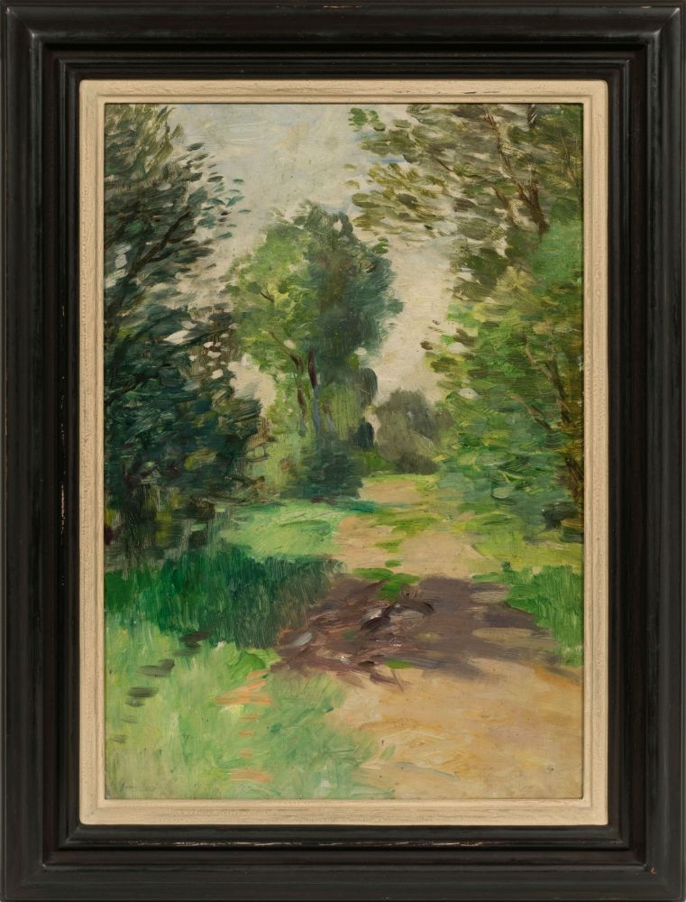 Sonniger Weg mit Schatten - Bild 2