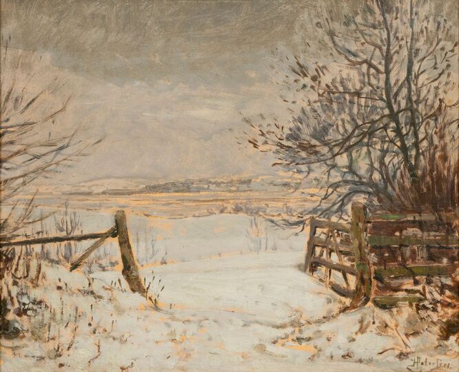 Winter Landscape