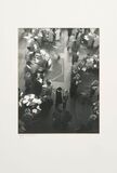 Set of Seven Photos - image 1
