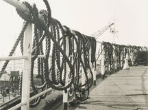 Set of Seven Photos - image 5