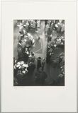 Set of Seven Photos - image 7
