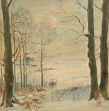 Winterlandschaft bei Elmschenhagen - Bild 1