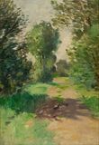 Sonniger Weg mit Schatten - Bild 1