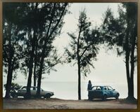 Coastal Scene - image 2