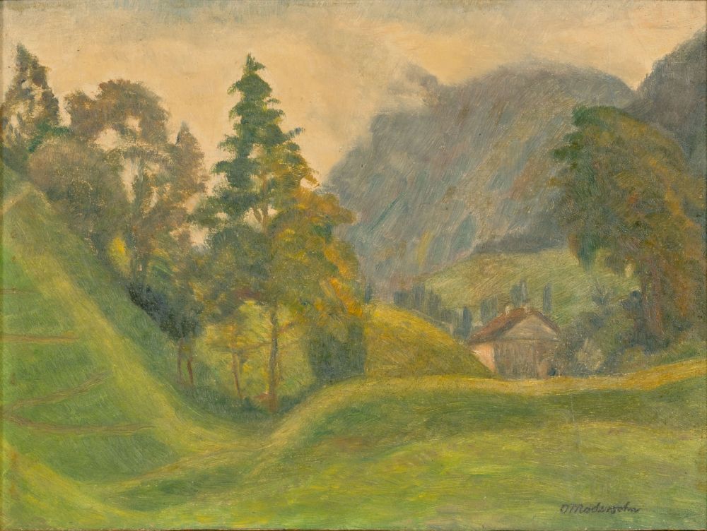 Landscape near Unterjoch