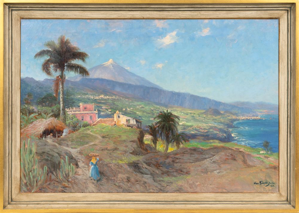 Orotava Valley, Tenerife - image 2