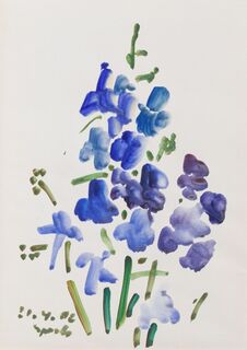 Veronica Persica