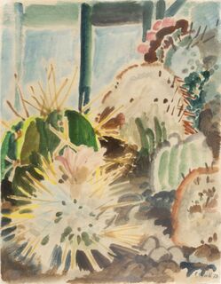 Cacti
