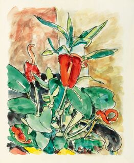 Flamingo Flower