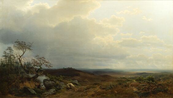 Weiter Himmel über der Heide