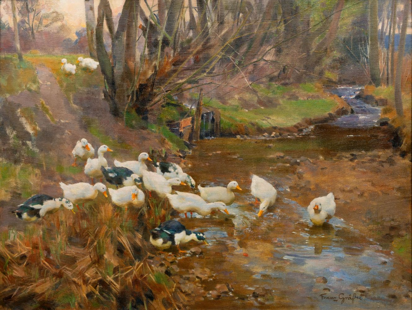 Ducks by a Creek