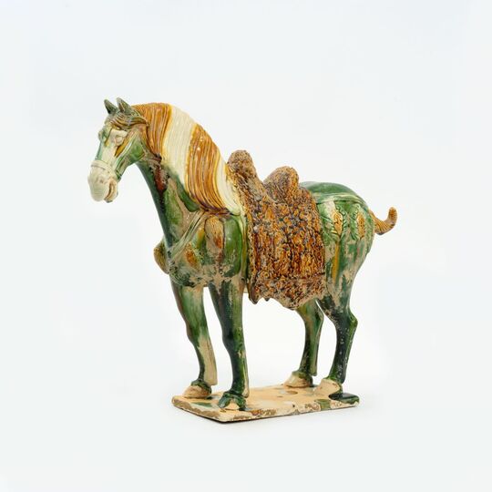 A Ferghana Horse